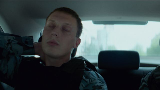 Сухопутный брюхоногий моллюск