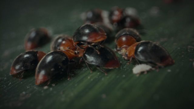 Под контролем